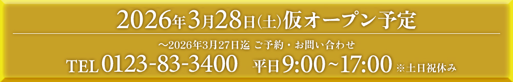 2026年仮オープン予定